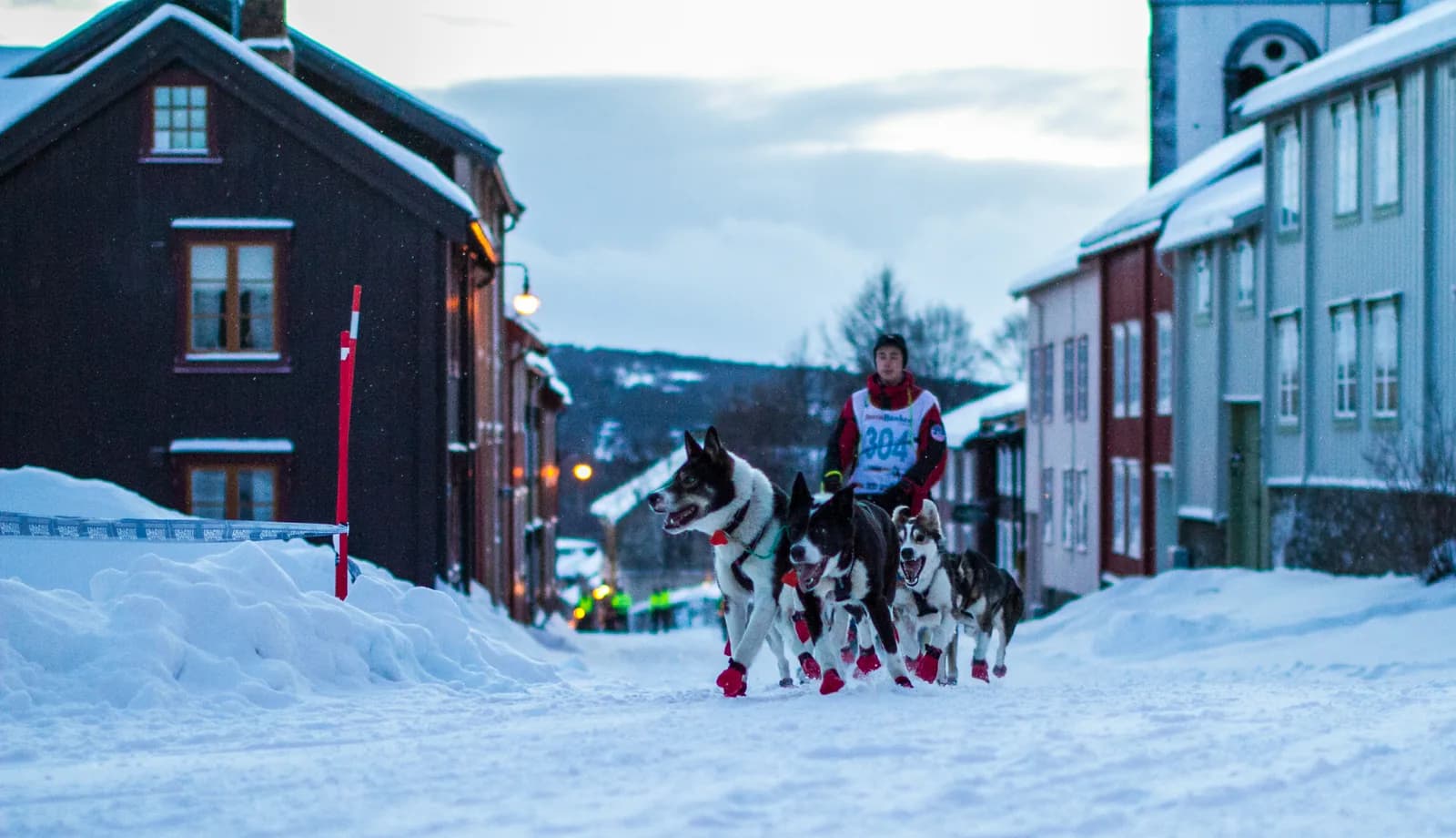 Attelage de chiens de traîneau dans une rue enneigée de Røros lors du départ du Femund Junior