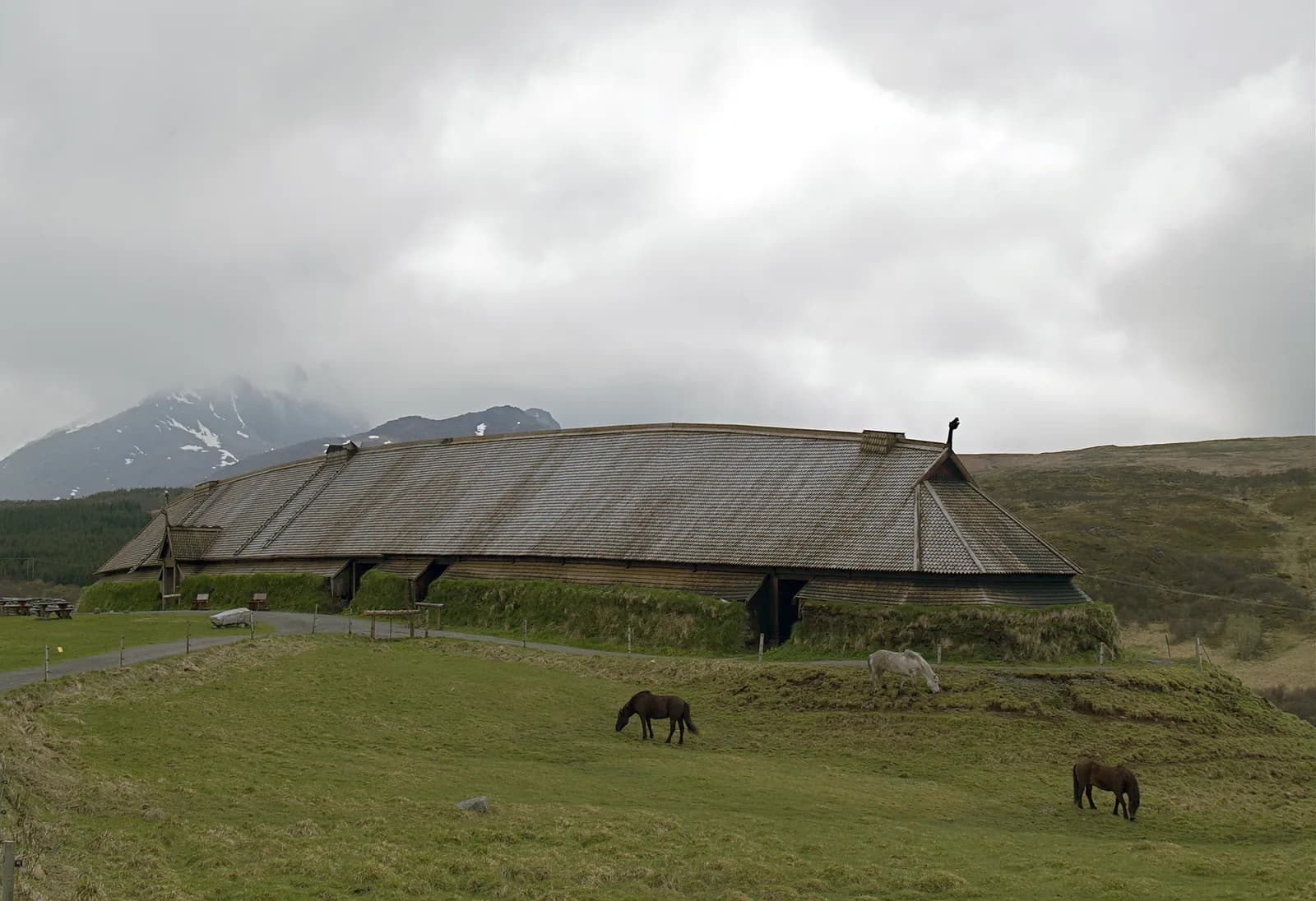 Maison longue reconstituée du musée viking de Lofotr, à Borg (Vestvågøy, Lofoten), avec des chevaux dans la prairie
