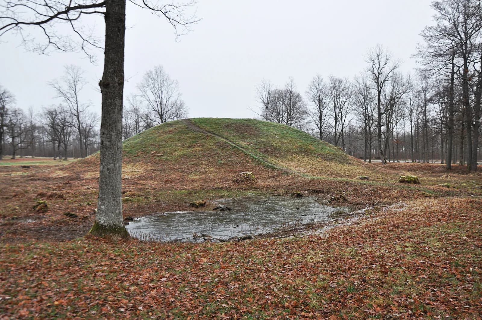 Tumulus de l’âge viking dans le parc national de Borre, à Horten (Vestfold)